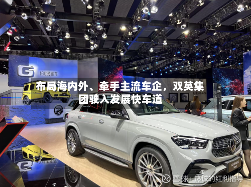 布局海内外、牵手主流车企，双英集团驶入发展快车道-第1张图片