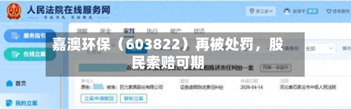 嘉澳环保（603822）再被处罚，股民索赔可期-第1张图片