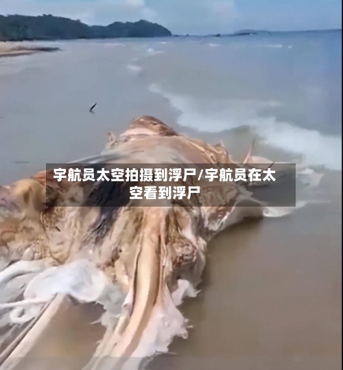 宇航员太空拍摄到浮尸/宇航员在太空看到浮尸-第2张图片