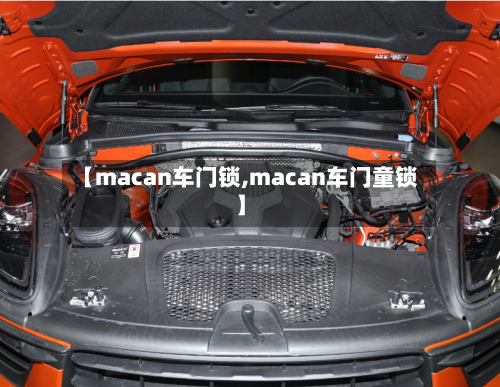 【macan车门锁,macan车门童锁】-第1张图片
