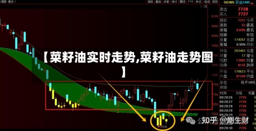 【菜籽油实时走势,菜籽油走势图】-第1张图片