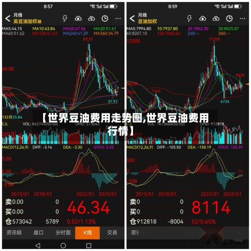 【世界豆油费用走势图,世界豆油费用行情】-第2张图片