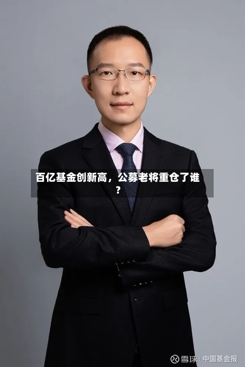 百亿基金创新高，公募老将重仓了谁？-第3张图片