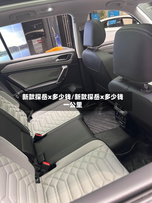 新款探岳x多少钱/新款探岳x多少钱一公里-第2张图片