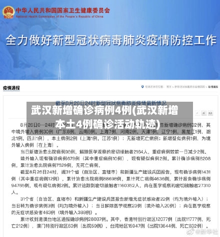 武汉新增确诊病例4例(武汉新增本土4例确诊活动轨迹)-第2张图片