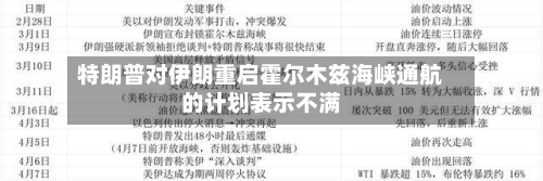 特朗普对伊朗重启霍尔木兹海峡通航的计划表示不满-第2张图片