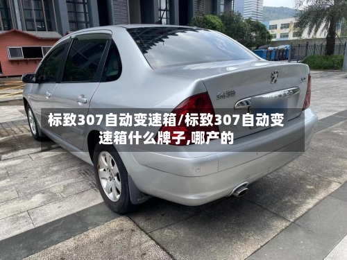 标致307自动变速箱/标致307自动变速箱什么牌子,哪产的-第1张图片