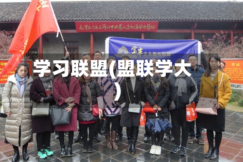 学习联盟(盟联学大)-第1张图片