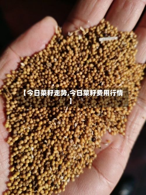 【今日菜籽走势,今日菜籽费用行情】-第1张图片