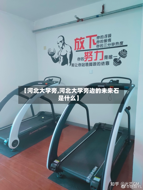 【河北大学旁,河北大学旁边的未来石是什么】-第1张图片