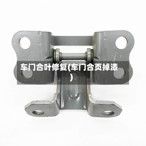 车门合叶修复(车门合页掉漆)-第1张图片