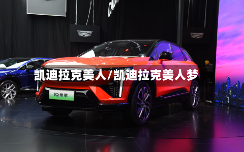 凯迪拉克美人/凯迪拉克美人梦-第3张图片