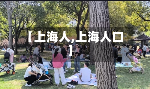 【上海人,上海人口】-第3张图片