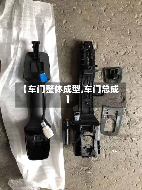 【车门整体成型,车门总成】-第1张图片