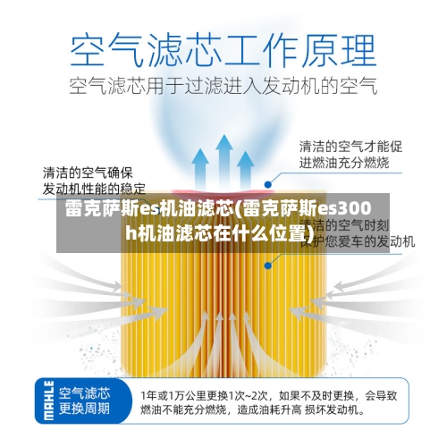 雷克萨斯es机油滤芯(雷克萨斯es300h机油滤芯在什么位置)-第2张图片