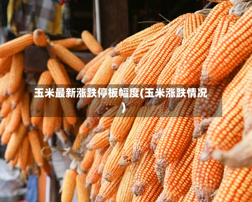 玉米最新涨跌停板幅度(玉米涨跌情况)-第2张图片