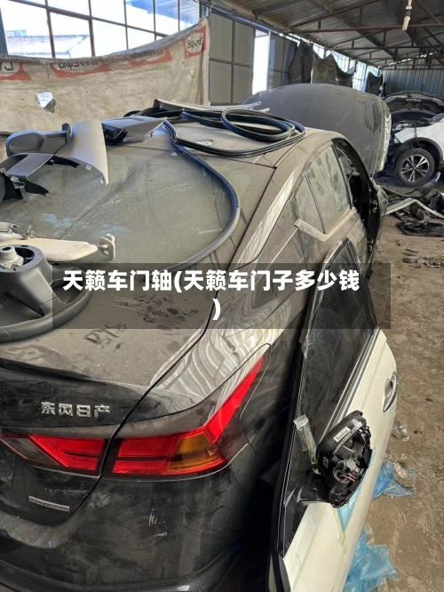 天籁车门轴(天籁车门子多少钱)-第2张图片