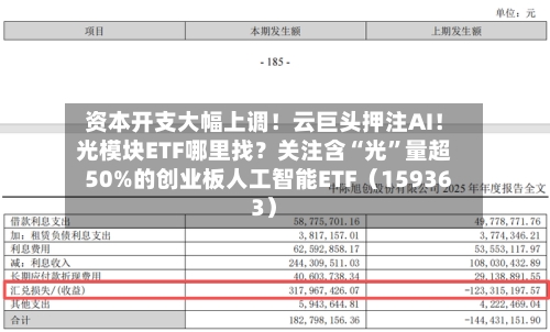 资本开支大幅上调！云巨头押注AI！光模块ETF哪里找？关注含“光	”量超50%的创业板人工智能ETF（159363）-第3张图片