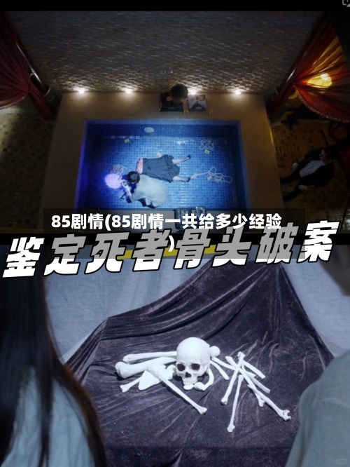 85剧情(85剧情一共给多少经验)-第1张图片