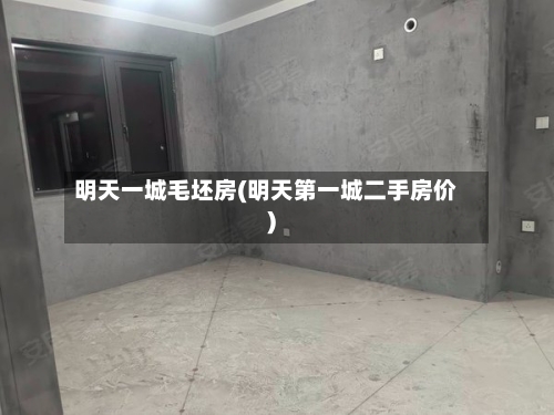 明天一城毛坯房(明天第一城二手房价)-第1张图片