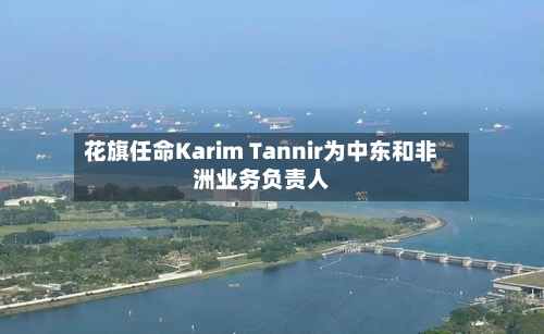 花旗任命Karim Tannir为中东和非洲业务负责人-第1张图片
