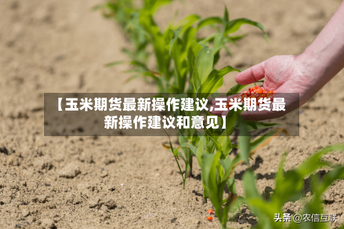 【玉米期货最新操作建议,玉米期货最新操作建议和意见】-第1张图片