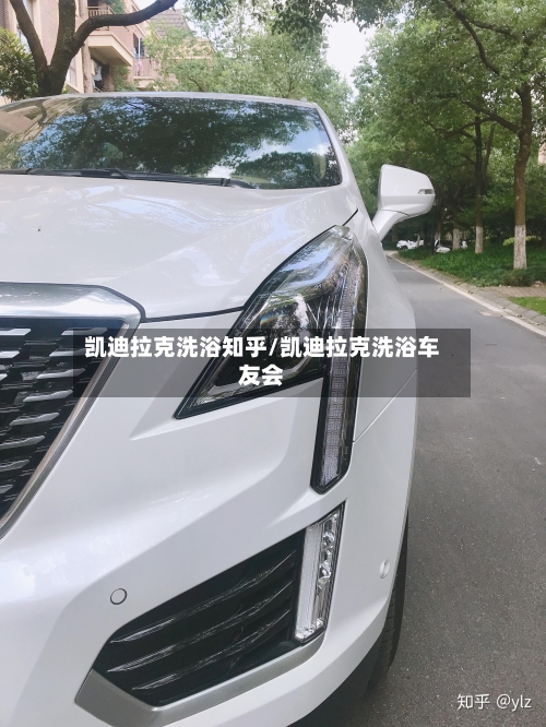 凯迪拉克洗浴知乎/凯迪拉克洗浴车友会-第2张图片