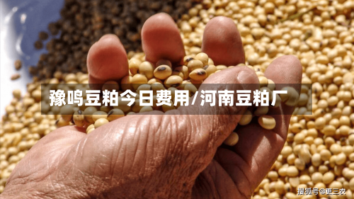 豫鸣豆粕今日费用/河南豆粕厂-第1张图片