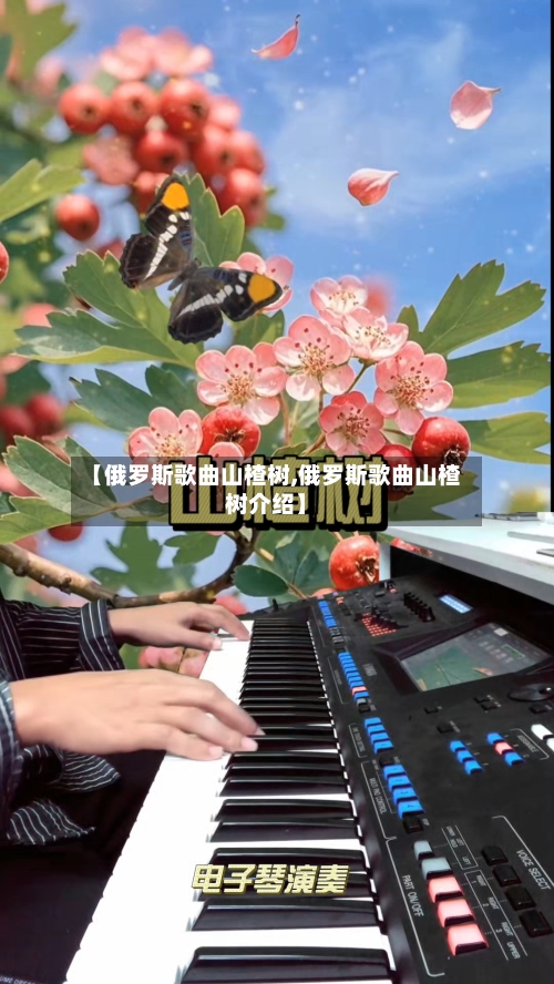 【俄罗斯歌曲山楂树,俄罗斯歌曲山楂树介绍】-第1张图片