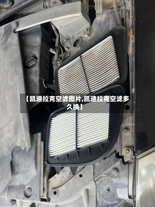 【凯迪拉克空滤图片,凯迪拉克空滤多久换】-第3张图片