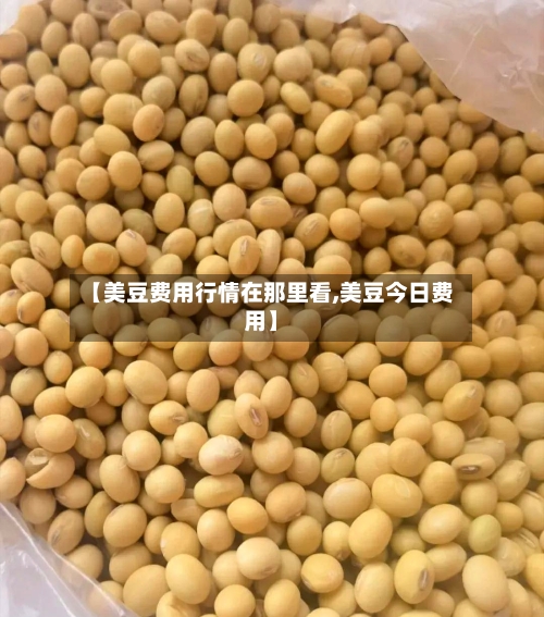 【美豆费用行情在那里看,美豆今日费用】-第1张图片