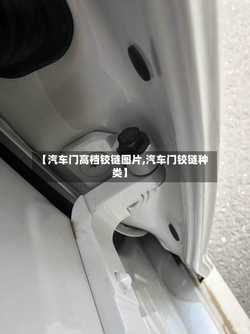 【汽车门高档铰链图片,汽车门铰链种类】-第1张图片