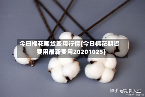 今日棉花期货费用行情(今日棉花期货费用最新费用20201025)-第2张图片