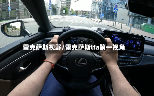 雷克萨斯视野/雷克萨斯lfa第一视角-第3张图片
