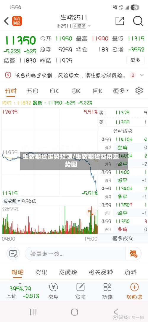 生猪期货走势预测/生猪期货费用走势图-第3张图片