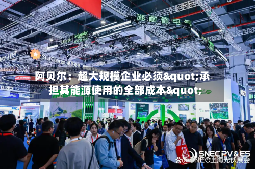 阿贝尔：超大规模企业必须"承担其能源使用的全部成本"-第1张图片