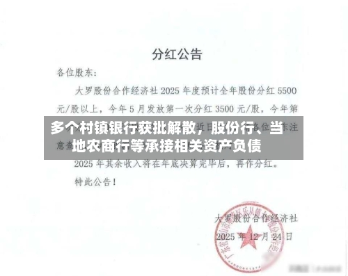 多个村镇银行获批解散	，股份行	、当地农商行等承接相关资产负债-第2张图片