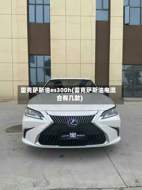 雷克萨斯油es300h(雷克萨斯油电混合有几款)-第1张图片