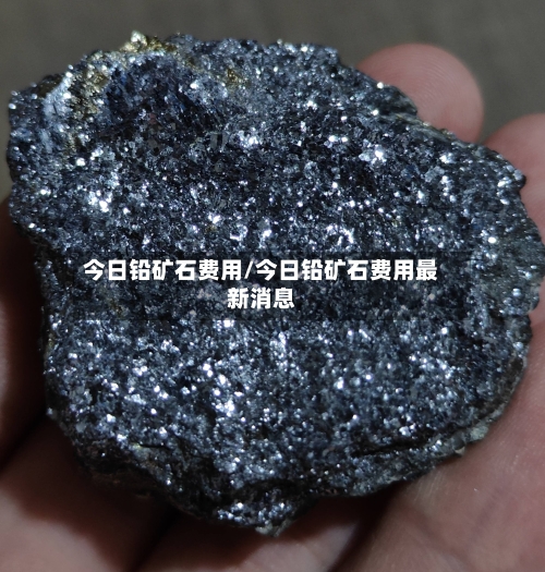 今日铅矿石费用/今日铅矿石费用最新消息-第1张图片
