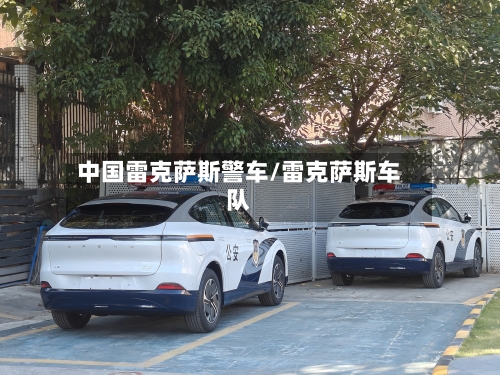 中国雷克萨斯警车/雷克萨斯车队-第1张图片