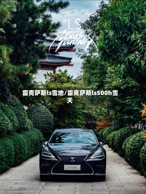 雷克萨斯ls雪地/雷克萨斯ls500h雪天-第2张图片