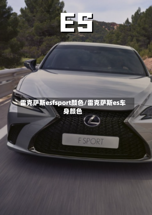 雷克萨斯esfsport颜色/雷克萨斯es车身颜色-第1张图片