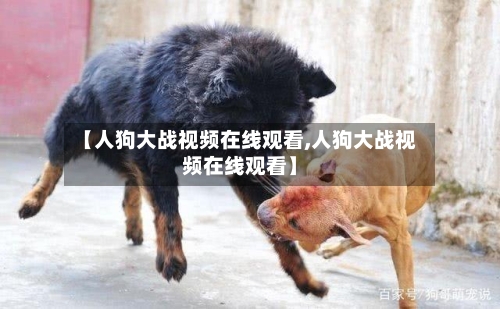 【人狗大战视频在线观看,人狗大战视频在线观看】-第1张图片