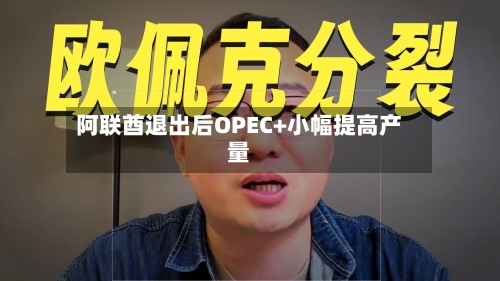 阿联酋退出后OPEC+小幅提高产量-第1张图片