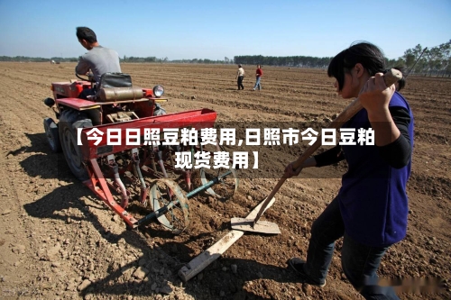 【今日日照豆粕费用,日照市今日豆粕现货费用】-第1张图片