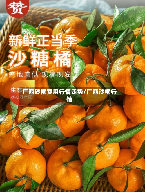 广西砂糖费用行情走势/广西沙糖行情-第1张图片
