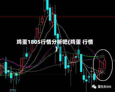 鸡蛋1805行情分析吧(鸡蛋 行情)-第2张图片