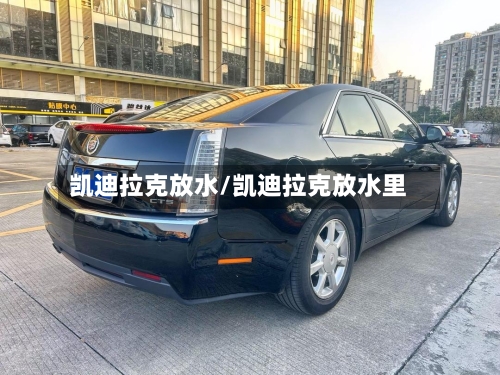 凯迪拉克放水/凯迪拉克放水里-第2张图片