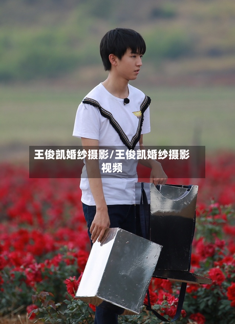 王俊凯婚纱摄影/王俊凯婚纱摄影视频-第1张图片