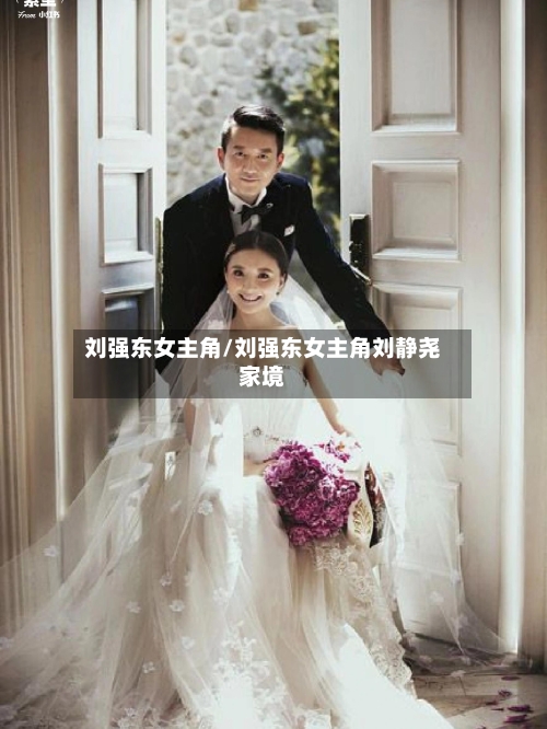 刘强东女主角/刘强东女主角刘静尧家境-第2张图片